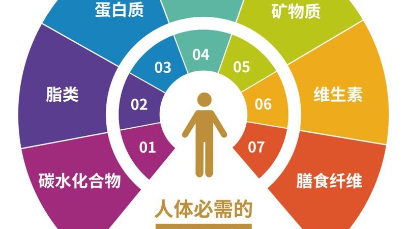 保健食品原料分类详解：品质与功效的双重保障